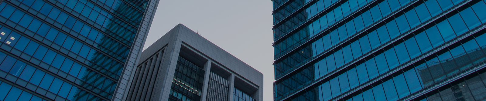 China Shenzhen Xiaohongbao Technology Co., Ltd. Perfil de la empresa 